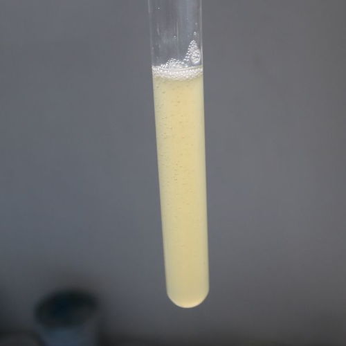 青岛涂料助剂 NS22消泡剂在水性涂料色浆中的应用与供应解析